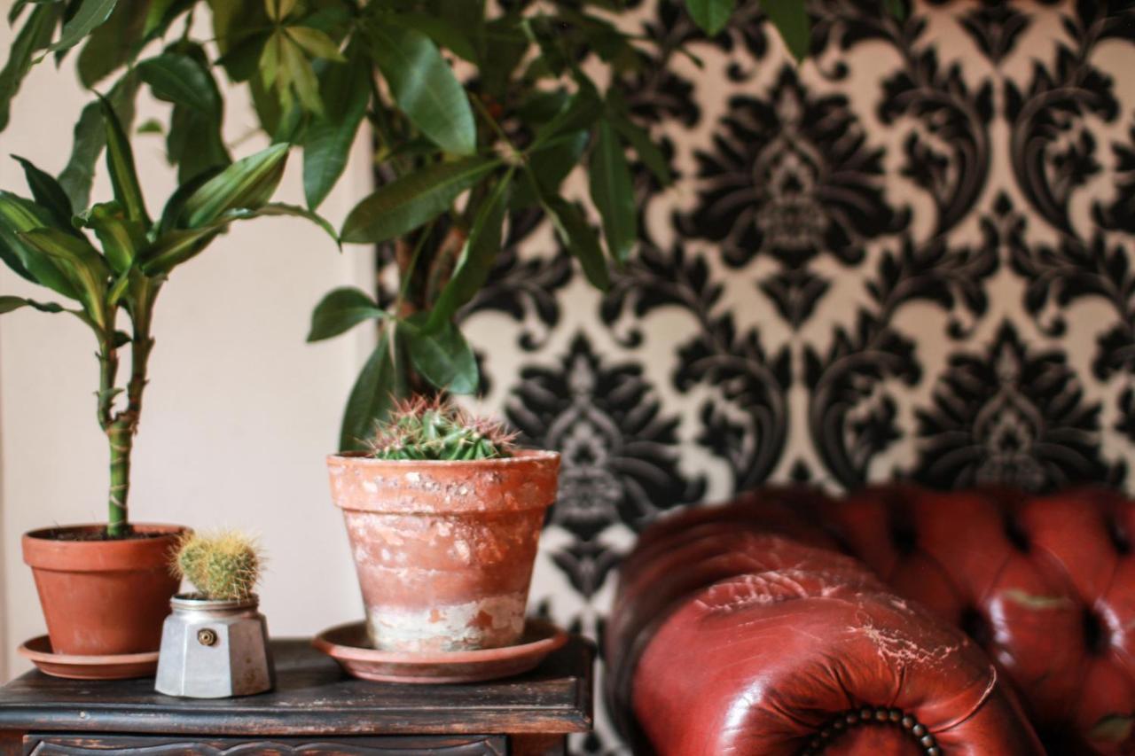 Coliving Trastevere, Rome
